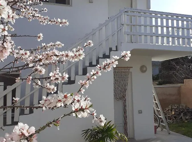 Contrada Vento Sharing アパート *